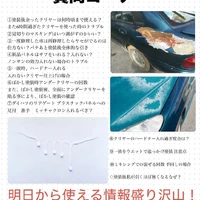 画像336