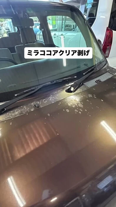 画像665