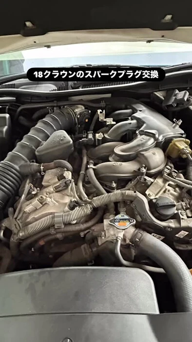 画像786